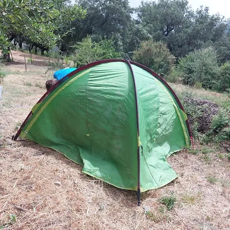 Camping Sunrise Paradise *